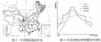 服務外包的趨勢與效益分析